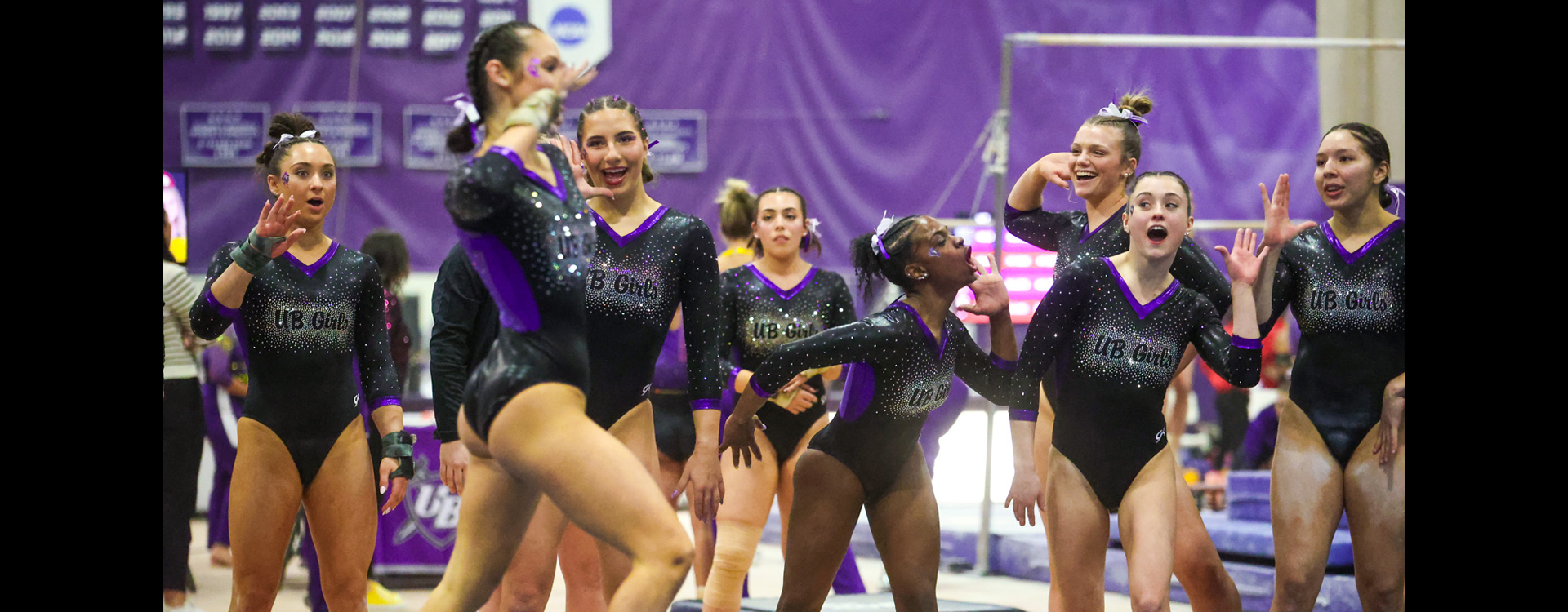 University of Bridgeport Purple Knights Gymnastics Clinics